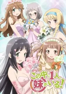 Kono Naka ni Hitori, Imouto ga Iru! cover image