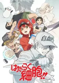 Hataraku Saibou!! cover image